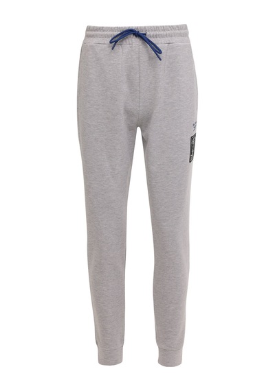 Reebok Camble Jogger Gri Erkek Eşofman Altı Gri