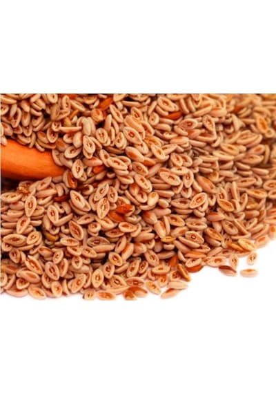 Sanita Karnıyarık Tohumu 250 GR