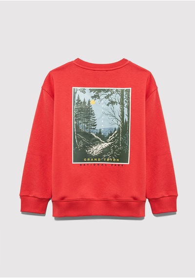 Mavi - Nature Roams On Baskılı Turuncu Sweatshirt 6s10148-71079 Turuncu