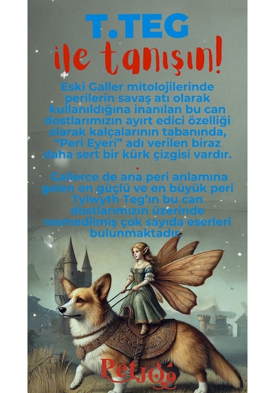 Petjoo 15.T.Teg Kırmızı-Mavi Qr'lı Köpek Künyesi