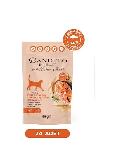 Somonlu Kısırlaştırılmış Yetişkin Kedi Yaş Maması - Jöle İçinde Parça Etli, 85 Gr X 24 Adet