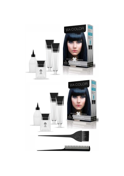 Sea Color Set Boya 1.1 Mavi Siyah 2 Adet+Boya Tarağı+Fırça