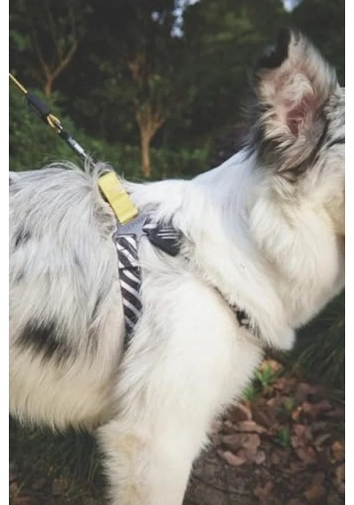 Ayarlanabilir Harness - Xs Boy