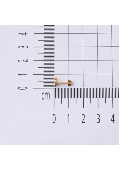Bilezikci  14 Ayar Altın Tragus Piercing Küpe Kphsy14k22506