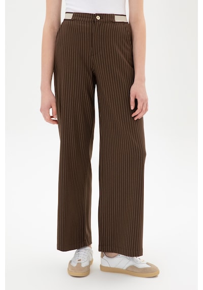 U.S. Polo Assn. Kadın Kahverengi Çizgili Loose Fit Kanvas Pantolon 50317169-VR029