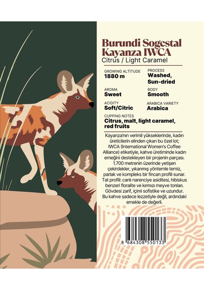 Burundi Sogestal Kayanza Iwca Yöresel Filtre Kahve 250 Gr. Çekirdek Kahve