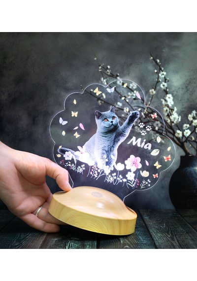 Kedi Fotoğraflı Led Lamba, Kişiye Özel Fotoğraf Ve İsimli Evcil Hayvan Temalı Lamba Hediye Tek Foto Kedi