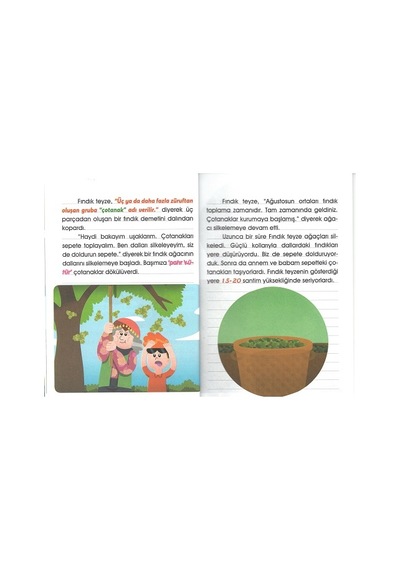 4.sınıf Okumayı Sevdiren Renkli Resimli Hikaye Seti 10 Kitap -3