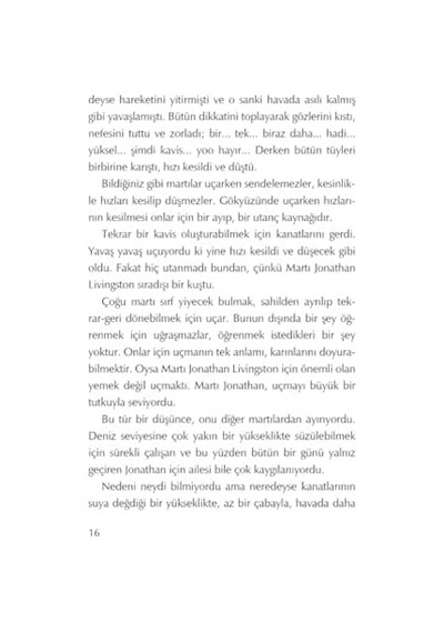 Martı Jonathan Livingston