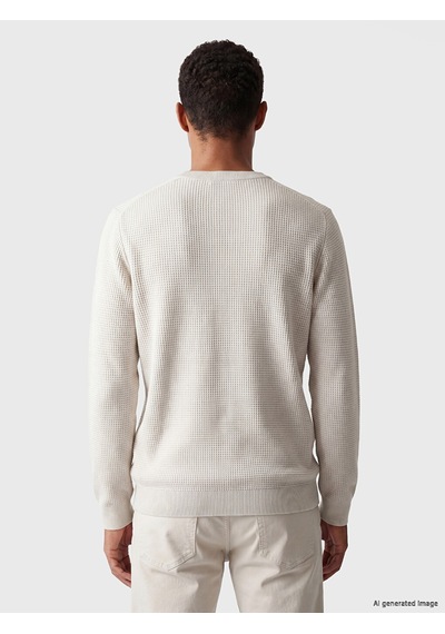 Lcw Vision Bej Regular Fit Bisiklet Yaka Erkek Triko Kazak