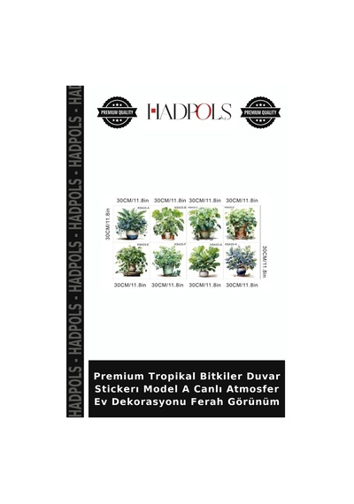 Premium Tropikal Bitkiler Duvar Stickerı Model A Canlı Atmosfer Ev Dekorasyonu Ferah Görünüm Çok Renkli