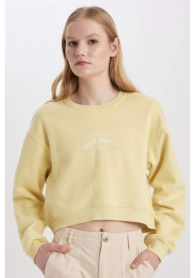 DeFacto Boxy Fit Bisiklet Yaka Baskılı Kalın Sweatshirt C5385AX23CWGN657