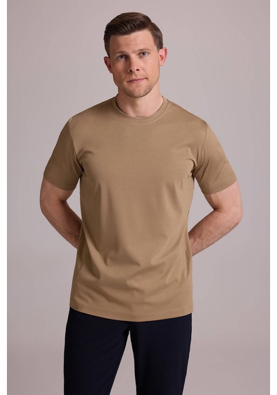 Erkek Vizon Regular Fit Bisiklet Yaka T-shirt