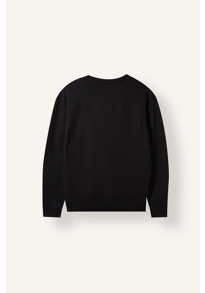 Defacto Standart Fit Bisiklet Yaka Dikiş Detaylı Baskılı Sweatshirt I0568ax26wnbk81 Siyah-bk81