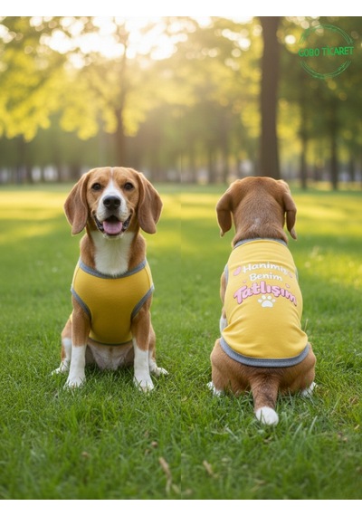 Sarı Hanimiş Benim Tatlışım Baskılı Kedi Ve Köpek Kıyafeti Tişörtü Elbisesi Large/l/beden 3