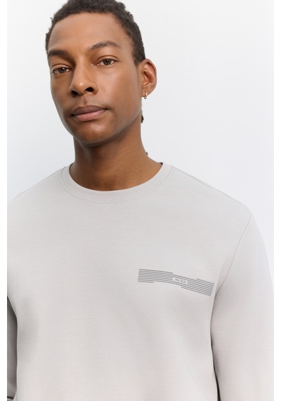 Avva Erkek Gri Bisiklet Yaka Kolay Ütülenen Baskılı Pamuklu Regular Fit Sweatshirt A62y1214