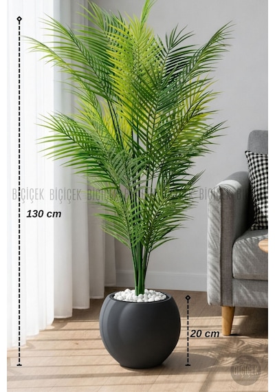 Biçiçek Areka Ağaci 24 Yapraklı 130 Cm Antresi̇t Küre Saksıda