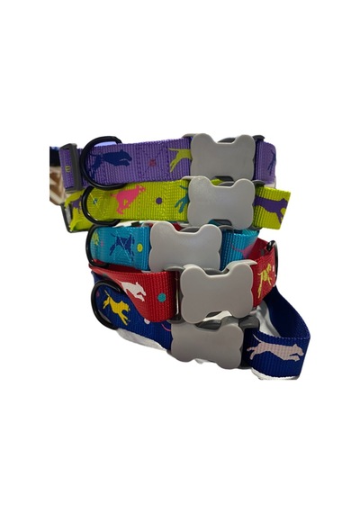 Leaping Dog Premium Boyun Tasması 2,5 Cm X 40-65 Cm Çok Renkli