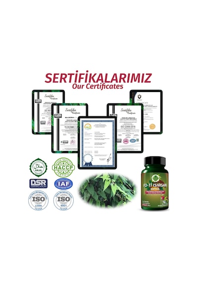 Gökçek Şifa Fo-Ti 1000 MG Isırgan Kapsül 60 Kapsül
