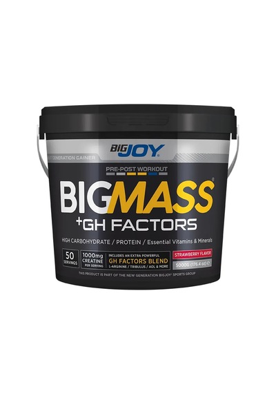 Bigjoy BIGMASS Gainer GH FACTORS 5000g  Çilek
