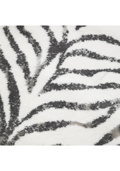 Mudo Home Zebra 2'li Banyo Paspas Seti Çok Renkli