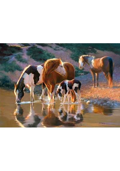 Castorland 500 Parça Puzzle Night Cap