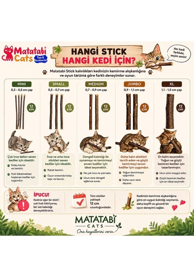 Ayrex Kedim İçin Matatabi Stick Ve Matatabi Oyuncak Seti 5 Parça