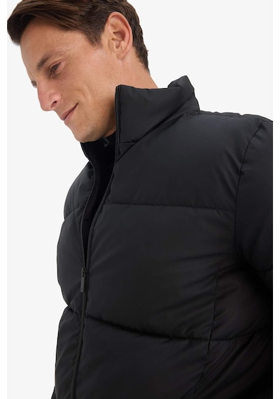 Defacto Slim Fit Dik Yaka Astarlı Fermuarlı Su Geçirmez Siyah Erkek Mont C5631ax/bk27 Siyah