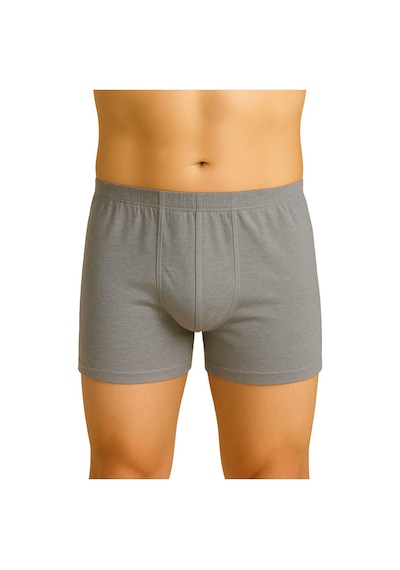 Aria's Closet Arias Closet Gri Mı Emay 6810 Arjantin Erkek Boxer