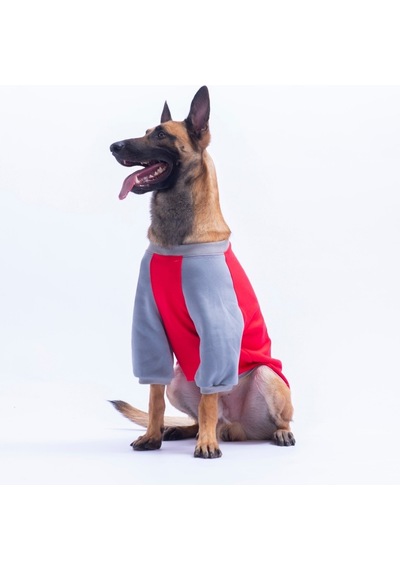 Kırmızı Boston Pawstar Sweat Orta-büyük Irk Köpek Sweatshirt Köpek Sweat Köpek Kıyafeti