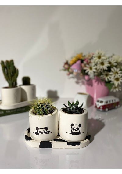Tabaklı Panda Desenli 1 Desenli Özel Çizim Saksı Seti Hediyelik Kalemlik
