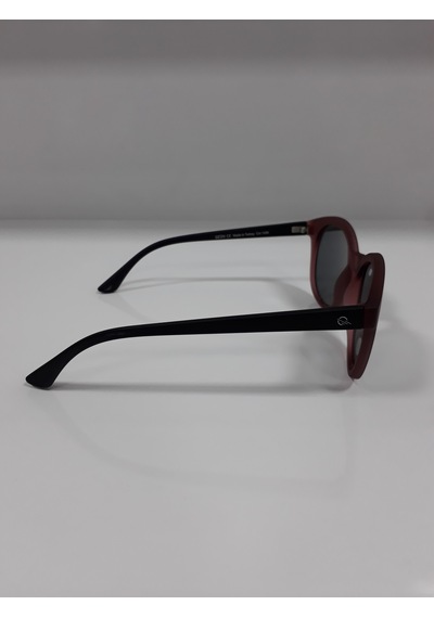 Qzen Unisex Güneş Gözlüğü Col.1506 976 50 19 150