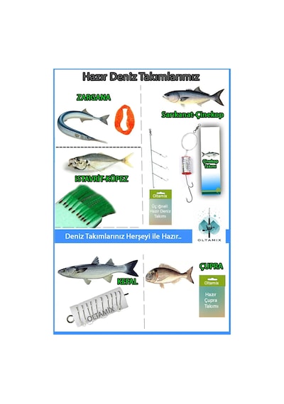 Profesyonel Tekne Deniz Olta Seti-olta Takımı 6000'lik Makina