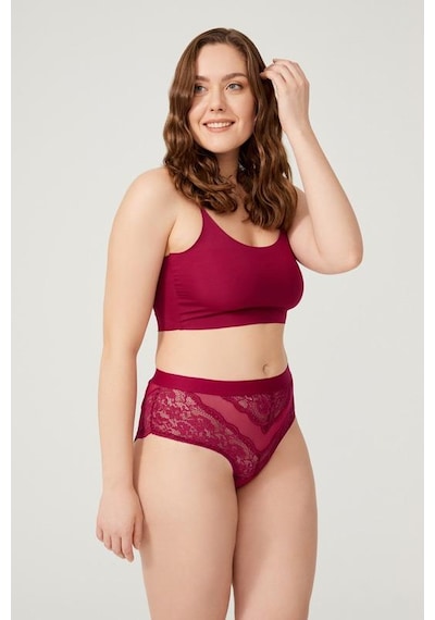 Cottonhill Dantelli Arkası Transparan Büyük Beden Bikini Külot 3'lü Paket Çok Renkli 2