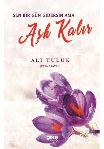 Sen Bir Gün Gidersin Ama Aşk Kalır - Ali Tuluk - Gece Kitaplığı