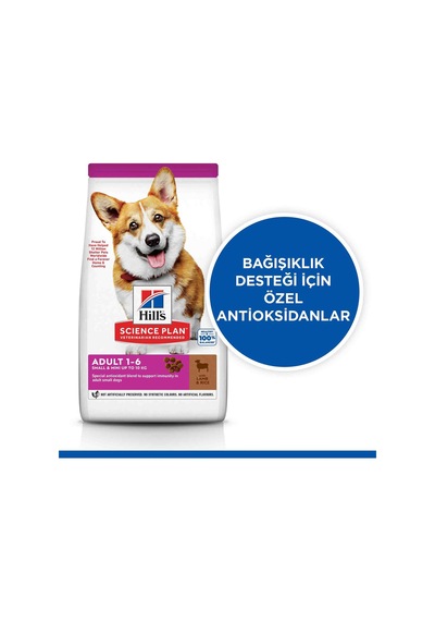 Hills Small&mini Kuzu Etli Yetişkin Köpek Maması 1,5kg