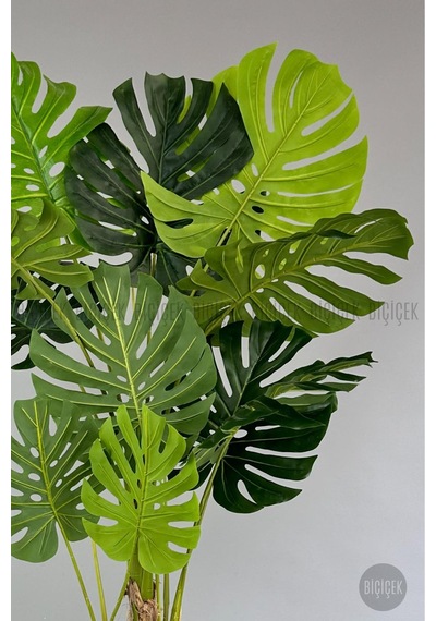 Yapay Monstera Ağacı Deve Tabani 190 Cm Antresi T Datça Saksıda Antresit