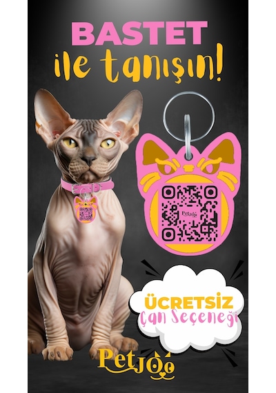 Petjoo 1.Bastet Sarı-Pembe Qr'lı Kedi Künyesi