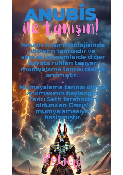 Petjoo 30.Anubis Pembe-Mavi Qr'lı Köpek Künyesi