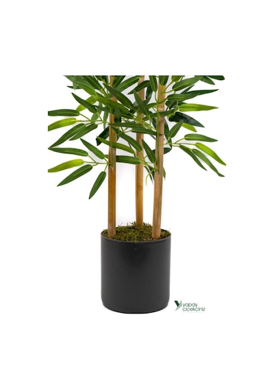 Yapay Çiçekçiniz 2 Adet Gri Saksıda Çim Detaylı 100 Cm Yapay Benjamin Ve Yapay Bambu Ağacı