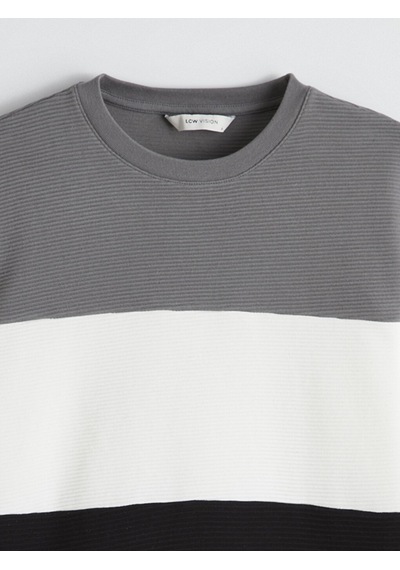 Lcw Vision Antrasit Bisiklet Yaka Renk Bloklu Erkek Sweatshirt