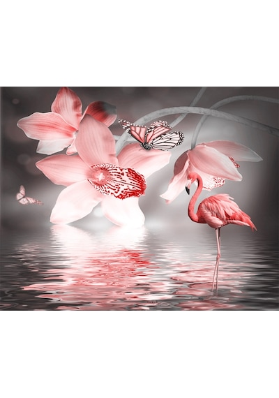 Flamingo Ve Kelebekler Duvar Kağıdı