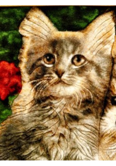 İran El Dokuması Tablo Halı Kedi & Köpek Ebat : 58cm X 38 Cm Çok Renkli