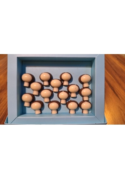 Spesiyal Hediyelik Çikolata 750 Gr