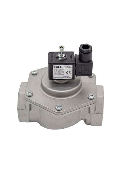 Eska Egv 11/4" Selenoid Vana 220 V