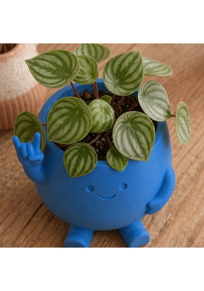 3d Baskı Smiley Face Planter - Gülümseyen Karakterli Saksı-mavi