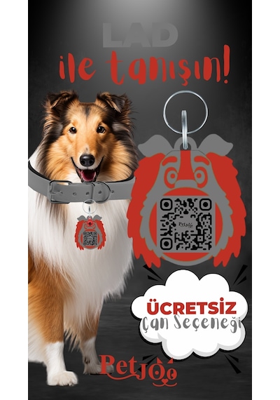 Petjoo 23.Lad Kırmızı-Gri Qr'lı Köpek Künyesi