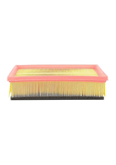 Bsg Hava Fıltresı E243l01-lx537-lx538 Sungerlı - T4 91-03