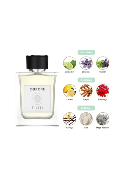 Thalia Timeless Paso Doble Erkek Parfüm EDP 100 ML