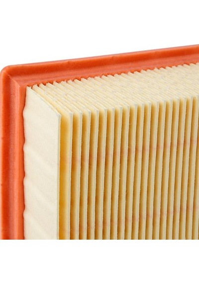 Mann Filter Hava Filtresi C22117